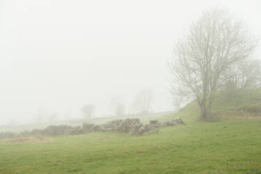 Nikon magazine - 50mm f/1.4 tried and tested 