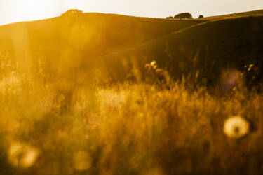 Photos for Nikon magazine