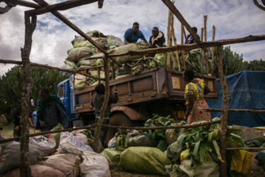 Nikon magazine - Nikon film and photo contest 2024-2025