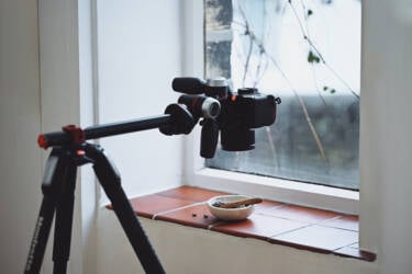 Nikon magazine - the NIKKOR Z DX MC 35mm f/1.7