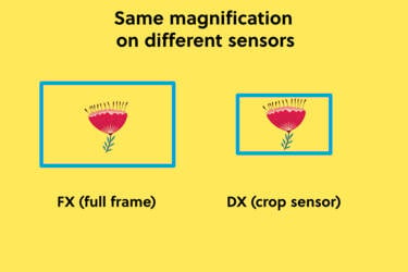 nikon magazine - magnification